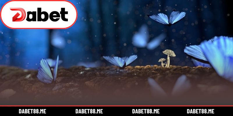 Giải nghĩa giấc chiêm bao về loài bướm rực rỡ