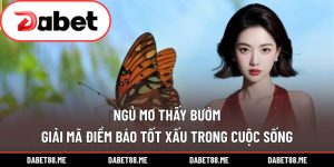 Ngủ Mơ Thấy Bướm – Giải Mã Điềm Báo Tốt Xấu Trong Cuộc Sống
