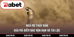 Ngủ Mơ Thấy Rắn – Giải Mã Điềm Báo Vận Hạn Và Tài Lộc